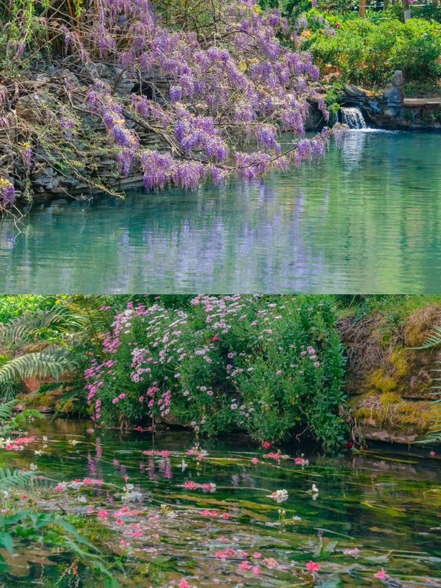 豐澤源植物園，滿足了春天的所有幻想