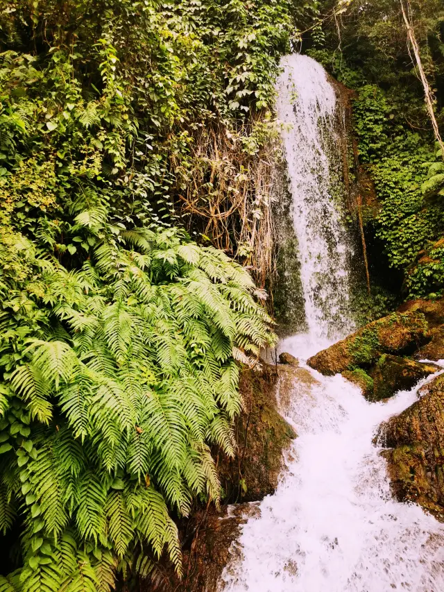 เที่ยวอิสระทางตะวันออกของกว่างซี（5）/น้ำตกข้ามชาติเต๋อเทียน ที่ใหญ่ที่สุดในเอเชียและใหญ่เป็นอันดับสี่ของโลก