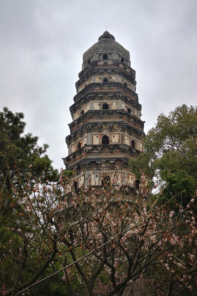 初遊虎丘山