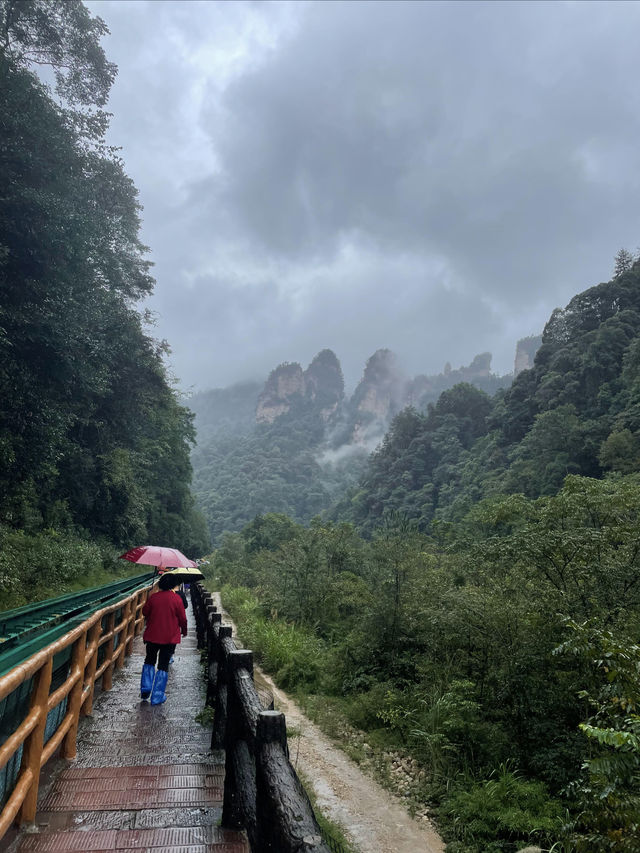 張家界森林公園