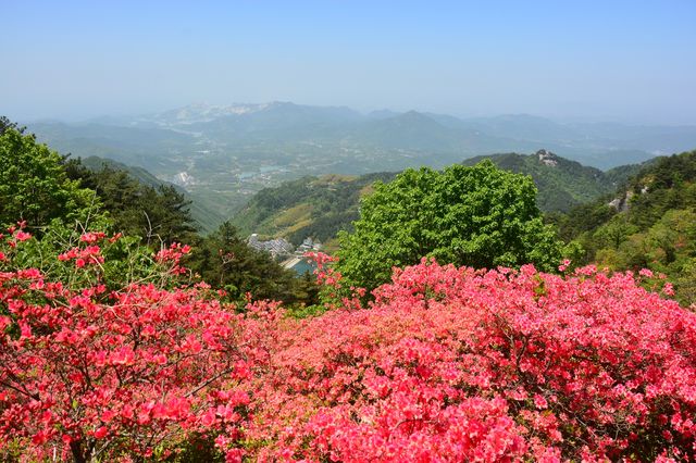 麻城龜峰山