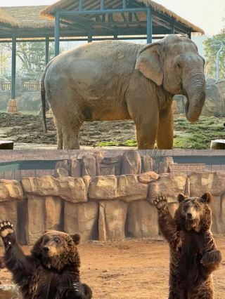 徐州九頂山野生動物園親子遊全攻略