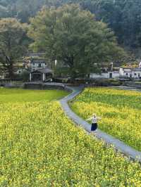 強烈建議：逛完這幾個油菜花古村再離開婺源