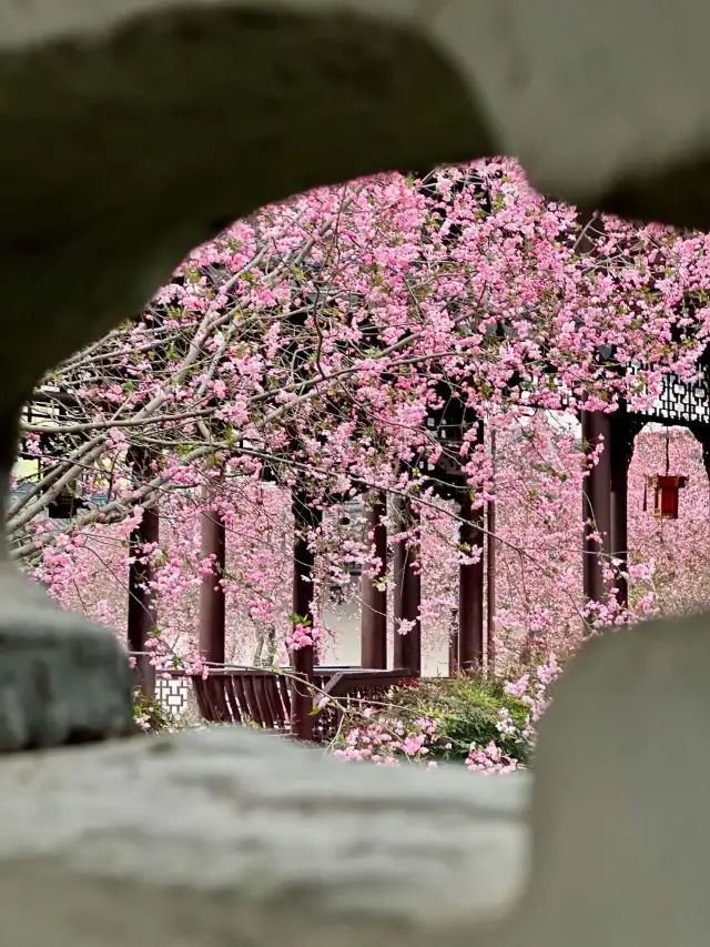 春の散策には莫愁湖公園がおすすめです