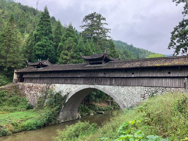 景美人少的地方嗎？——慶元月山村