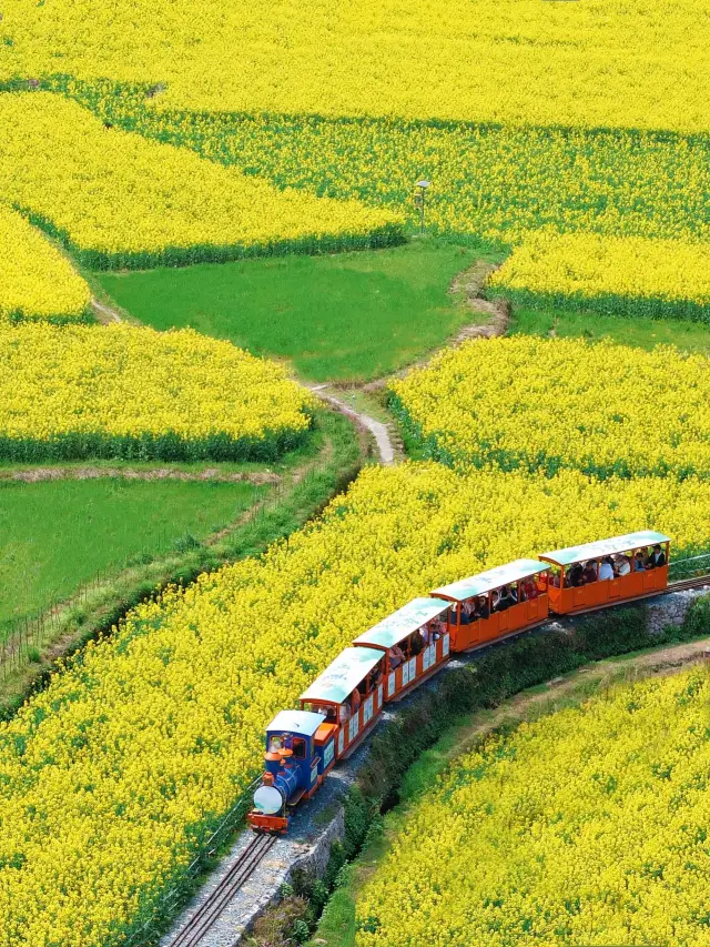 Wuyuan has been so vibrant this spring, with several places to enjoy