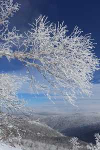 與雪來了一場浪漫的邂逅～｜幸福地在雪裡打滾