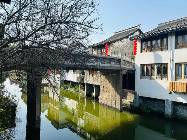上海本地遊青溪古鎮