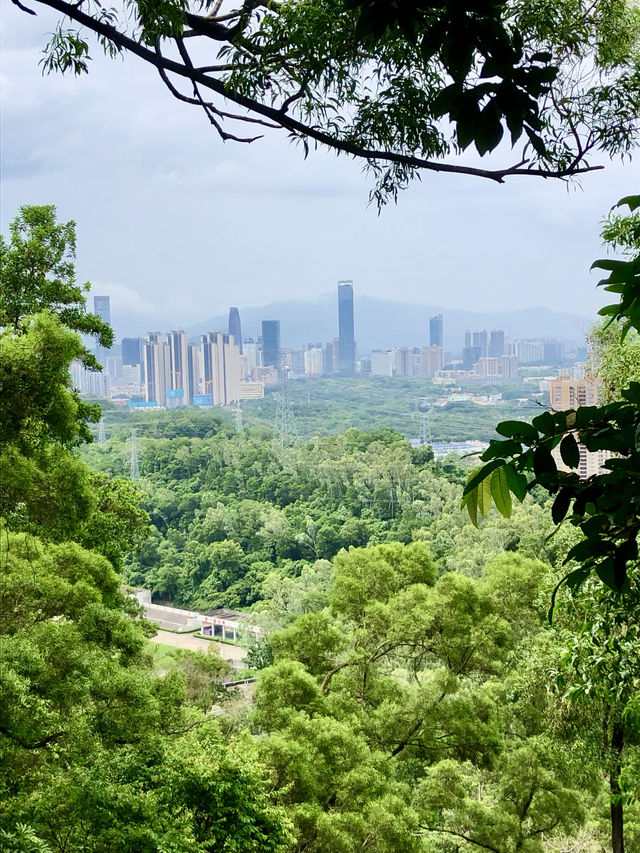 銀湖山郊野公園