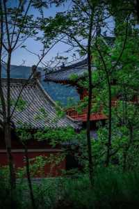 青山綠水、禪意悠悠-水峪寺