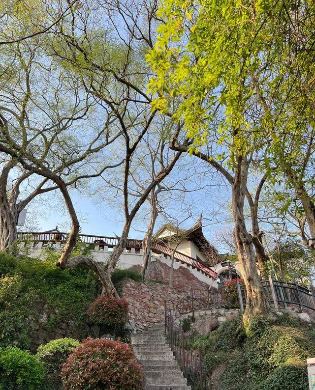 南京｜四月千萬別來燕子磯公園不然你會…