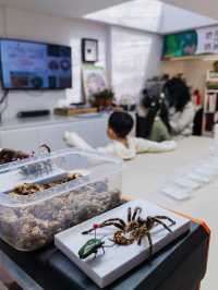 北京親子｜自然科普好去處 帶娃製作專屬昆蟲標本