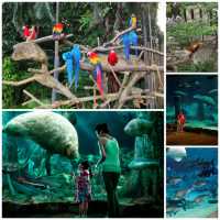 新加坡河川生態園，來一場世界名川上的動物奇遇記