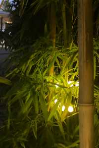 藍楹灣寵物友好酒店