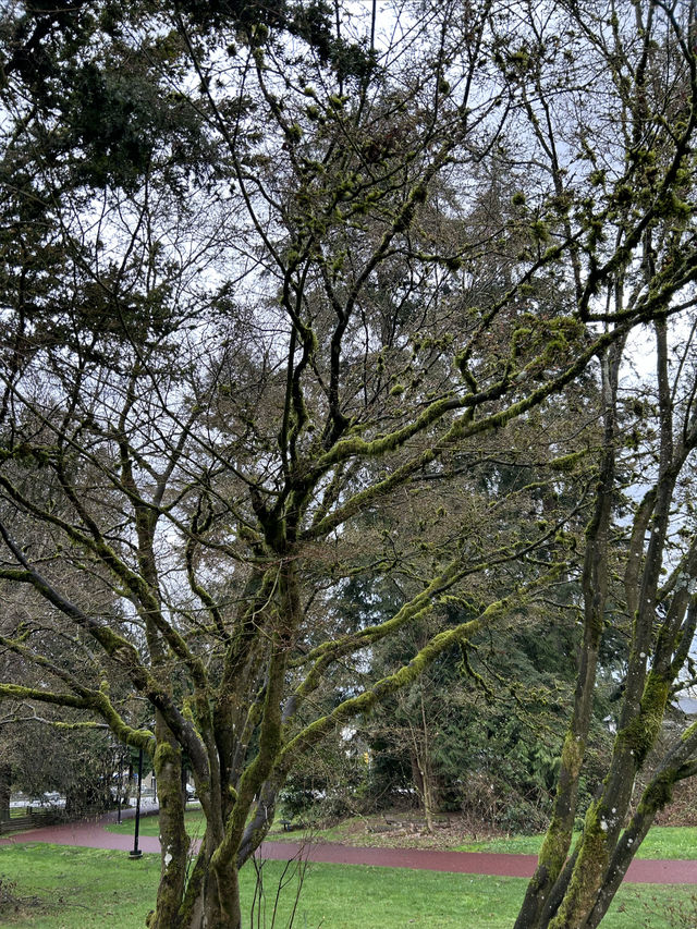 大溫地區的中央公園