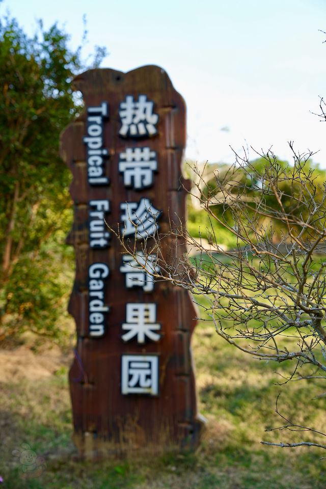 南洋風情處處生，來瓊海打卡海南「僑鄉第一村」