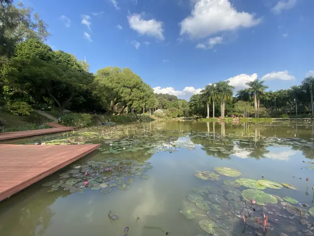 Nanning People's Park, a real-life version of the Emerald City from the Wizard of Oz! Taking photos here is incredibly scenic