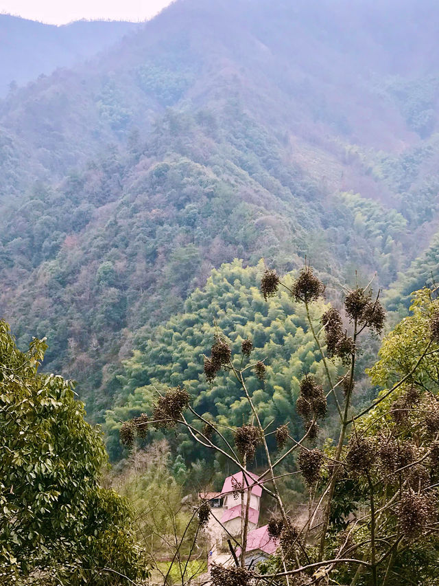 冬日短途遊，自駕「皖南川藏線」