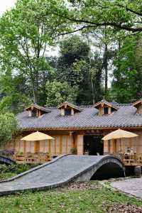 躲進茶山裡 大口吸氧