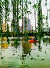 打卡黃興公園，春天玩點花的