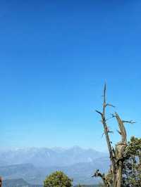 牡丹花下也風流，是洛陽的牡丹高雅，還是景山的風雅！