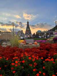 Everland Korea Best Theme Park 🇰🇷🎡