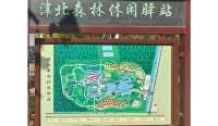 天津津北森林公園