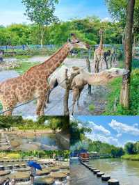 距離深圳1小時~人均19!!近距離餵動物玩水~親子遊玩