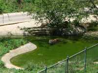 貴州第一動物王國——貴陽森林野生動物園