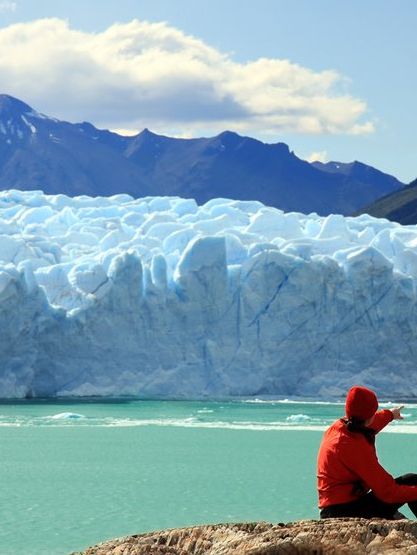 🌟 Wild Argentina 🌟