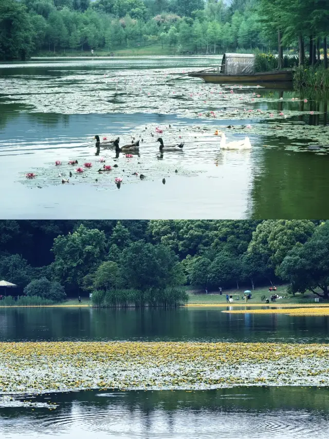 จากทะเลสาบเยนเชียวไปยังทะเลสาบบิวะ, 51 เส้นทางสวยงามฟรีที่สุด
