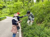 南京浦口老山森林公園