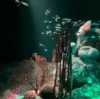 Pattaya underwater world is worth Experience 🐟🇹🇭