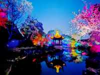 藏在兩千多年古鎮中，專家為之傾倒的江南名園