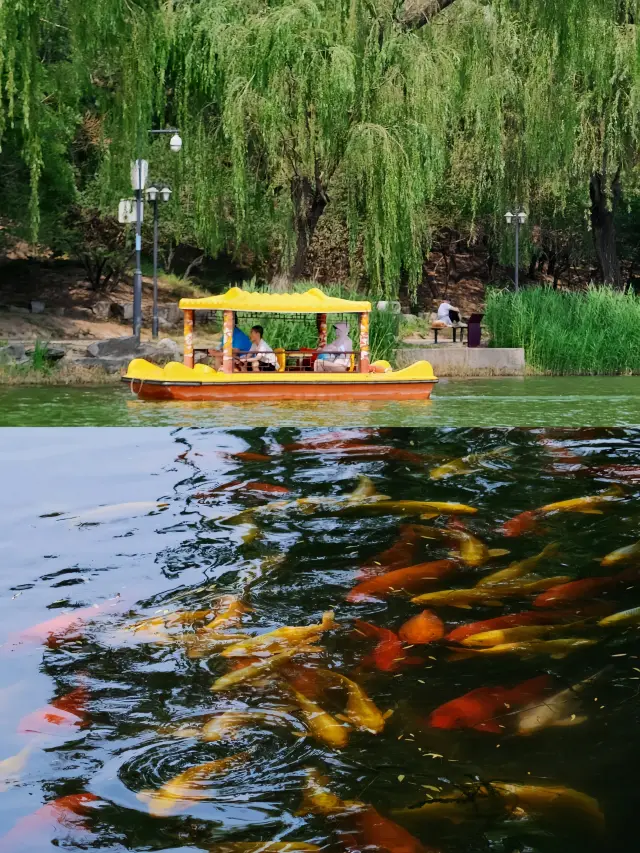 Five Parks Launch Boating Services