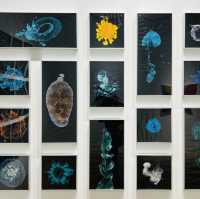 來深圳光明文化藝術中心美術館一起看展啦