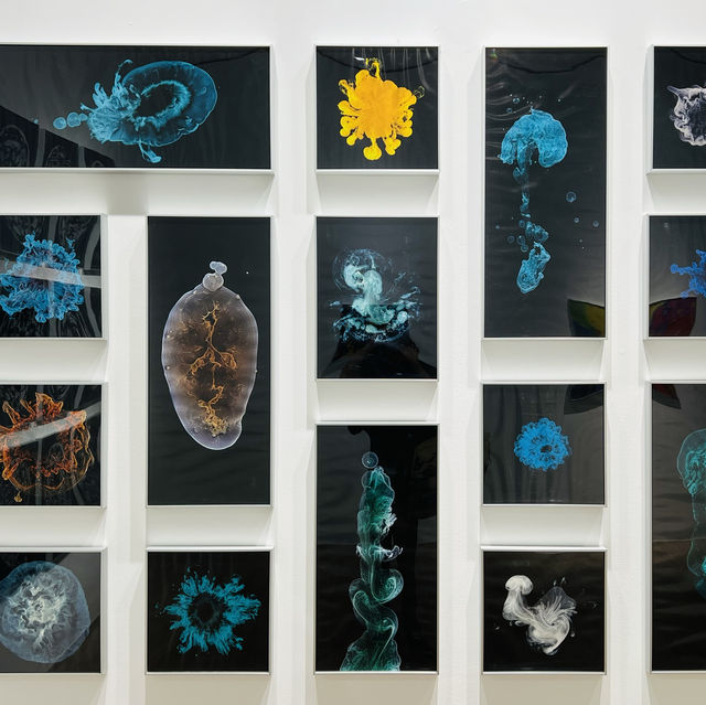 來深圳光明文化藝術中心美術館一起看展啦