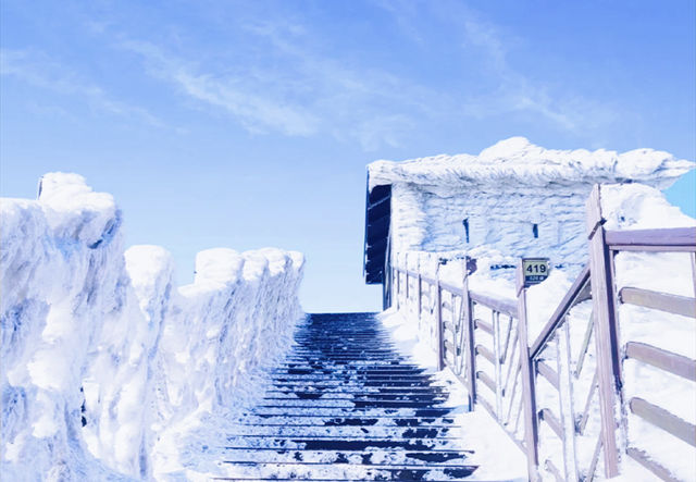 廣東也能看雪啦冰掛霧淞+雲海雪景。
