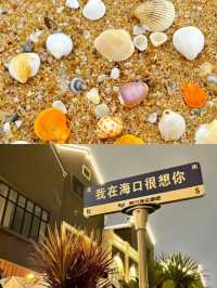 哇！這才是海南的正確打開方式！