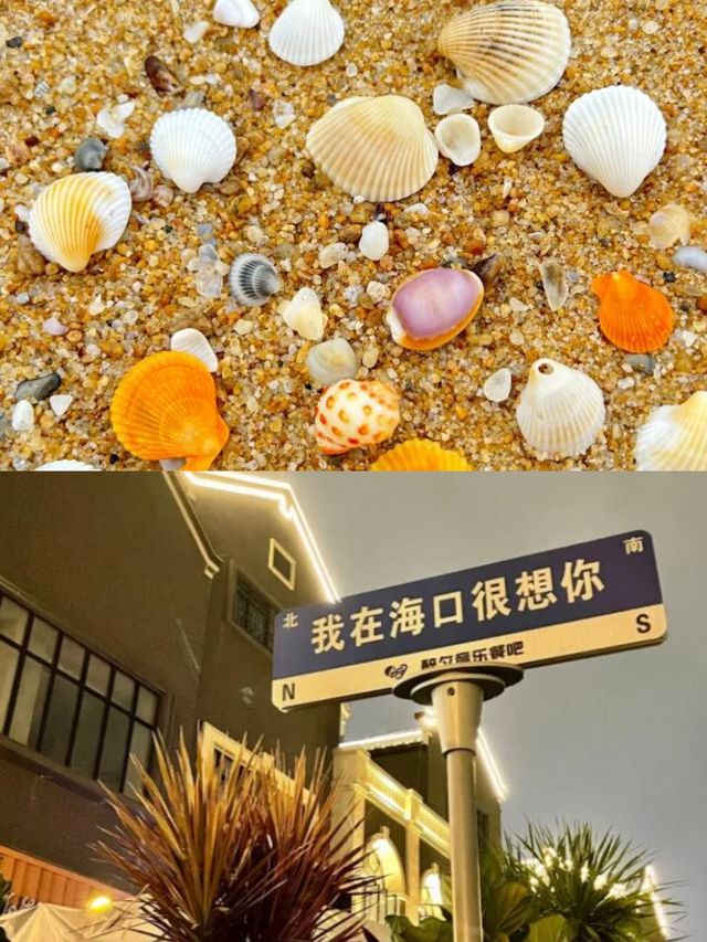 哇！這才是海南的正確打開方式！