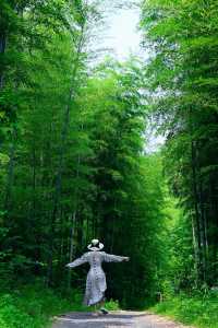 在莫干山闖入童話裡的小木屋
