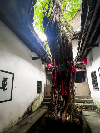 Ancient Cities and Towns | Walking through Yaoba Ancient Town, touching the historical features of Southern Sichuan