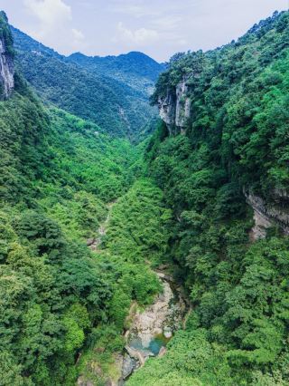 The Valley of Heavenly Will Creek Descends: The miraculous beauty of nature immerses your soul!