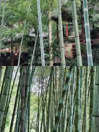 探秘四川眉山青神縣，中岩寺一日心靈之旅！