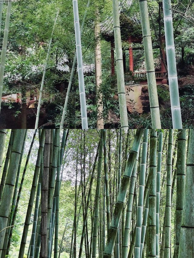 探秘四川眉山青神縣，中岩寺一日心靈之旅！