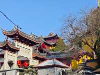 畢業旅行