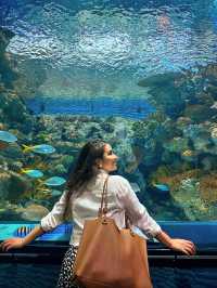 Shanghai Ocean Aquarium: Underwater Wonders