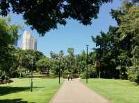 Beautiful City Botanic Gardens Brisbane 🌺🌳