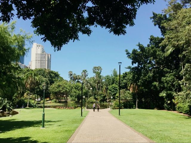 Beautiful City Botanic Gardens Brisbane 🌺🌳