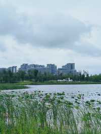 以後到成都，就住這家酒店，舒適與驚喜之旅